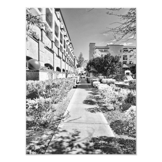 B&W FOTO AFDRUK (Voorkant)