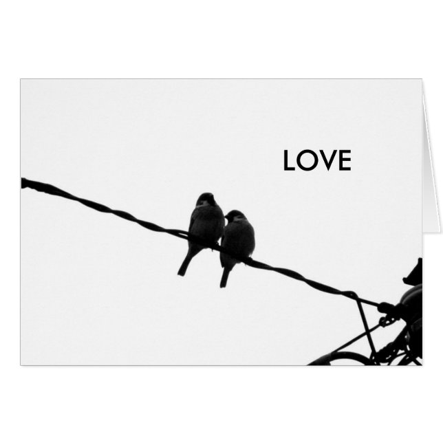 B&W-fotokaart voor Love/Sparrow Pair (Voorkant Horizontaal)