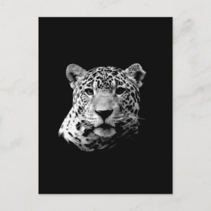 B&W Jaguar Briefkaart