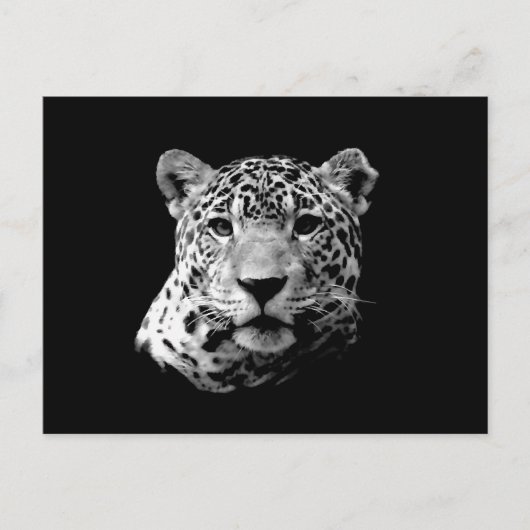 B&W Jaguar Briefkaart (Voorkant)