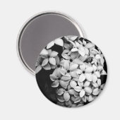 B&W MAGNEET (Voorkant / Achterkant)