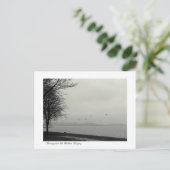 B&w-meer Balaton Briefkaart (Staand voorkant)