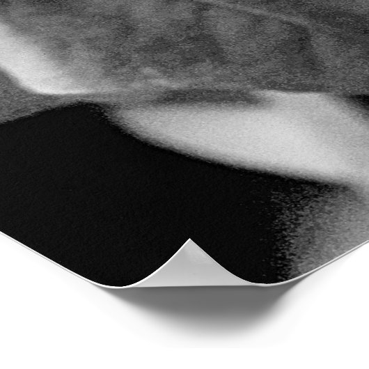 B & W Morning Glory Print (Hoek)