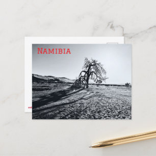 B+W Namib Desert Tree Briefkaart