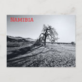 B+W Namib Desert Tree Briefkaart (Voorkant)