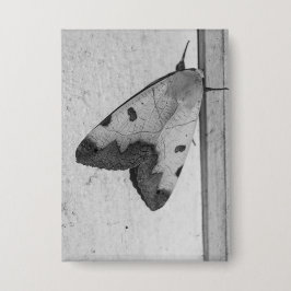 B&W - Ophiusa tirhaca, de groene draak Button