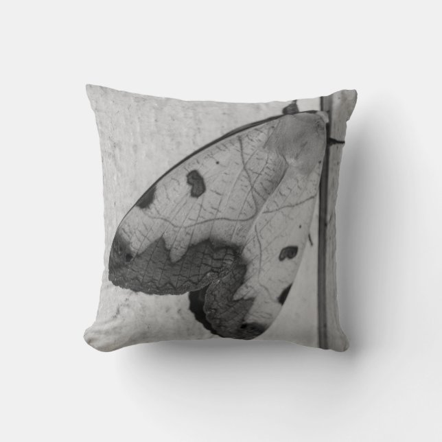 B&W - Ophiusa tirhaca, de groene draak Kussen (Voorkant)