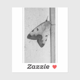 B&W - Ophiusa tirhaca, de groene draak Sticker