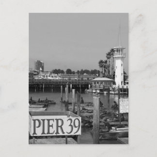 B&W Pier 39 Zee Lions Briefkaart