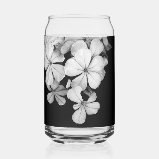 b&w Plumbago (Recto)