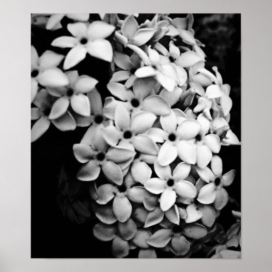 B&W POSTER (Voorkant)