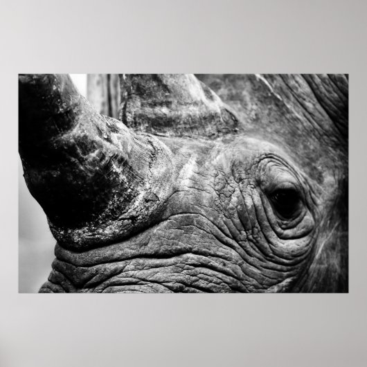 B&W Rhino Poster (Voorkant)