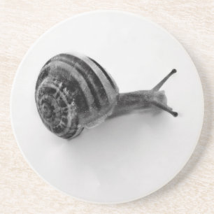 B&W slak Zandsteen Onderzetter