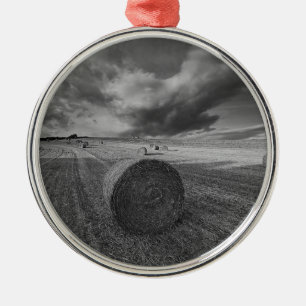 B&W-veld voor gerst Metalen Ornament