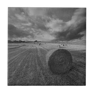 B&W-veld voor gerst Tegeltje