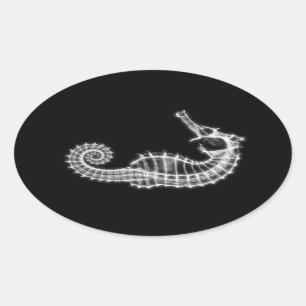 B&W X-Ray Vision Seahorse Skeleton Ovale Sticker