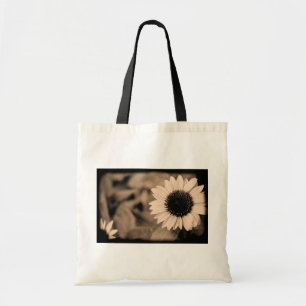 B&W Zonnebloem Tas
