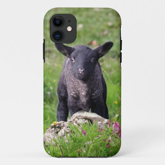 Baa Baa Black Sheep iPhone 5 Coque-Mate Coque (Dos)