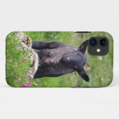 Baa Baa Black Sheep iPhone 5 Coque-Mate Coque (Dos (Horizontal))