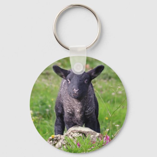 Baa-Baa Black Sheep Keyring Sleutelhanger (Voorkant)