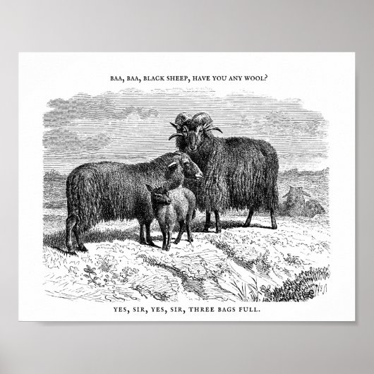 Baa, Baa, Zwarte Schapenkalk Poster (Voorkant)