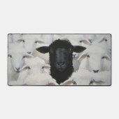 Baa-tle de l'individualité (Recto)