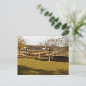 Baaa! Briefkaart (Staand voorkant)