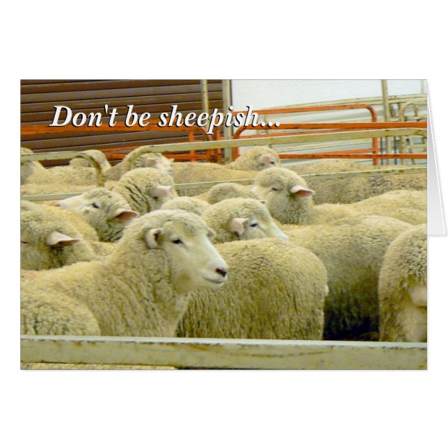 Baaaaa ! - Restez en contact ! (Devant horizontal)