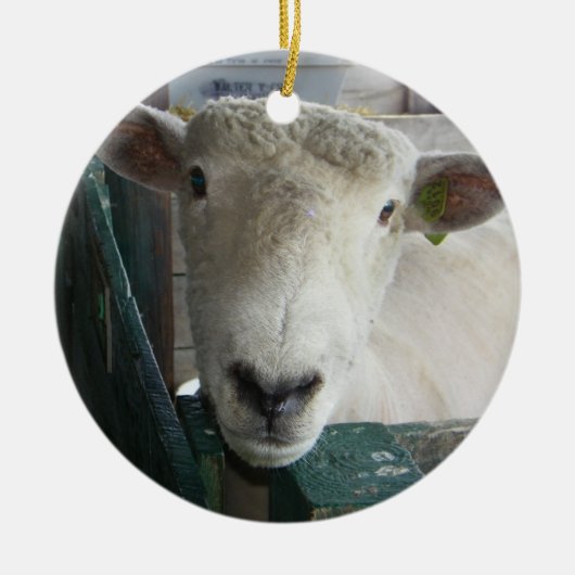 BAAAAAAAAAAAAAA SHEEP ORNAMENT (Voorkant)
