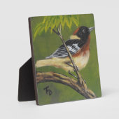 Baai met warbler - Plaque met asel in tablet Fotoplaat (Voorkant)