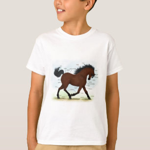 Baai paard met blaze educatieve anatomische kaart t-shirt