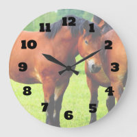 Baai Pools rode paard in een groot groen weidehuis