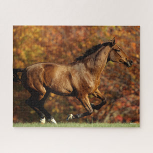 Baai Warmblood Runing Autumn Background Legpuzzel
