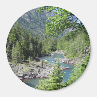 Baanbrekend nationaal bos magneet