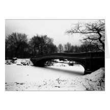 Baanbrug Winter Central Park NYC