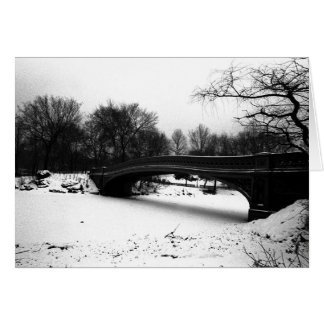 Baanbrug Winter Central Park NYC