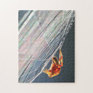 Baanspin in web legpuzzel