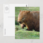 baard briefkaart (Voorkant / Achterkant)