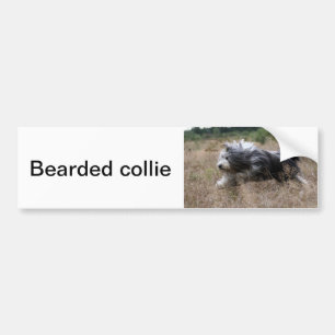 baard bumpersticker
