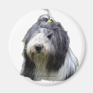 baard magneet