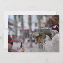 Baardagaam aan de kust Paphos briefkaart