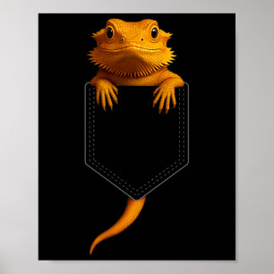 Baardagaam Cket Schattige Exotische Hagedis Reptie Poster