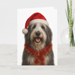Baardcollie in een kerstmuts kerstkaart kaart