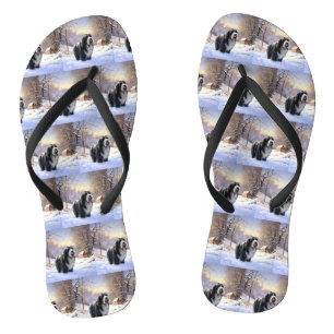 Baardcollie Laat het Sneeuwen Kerstmis Teenslippers