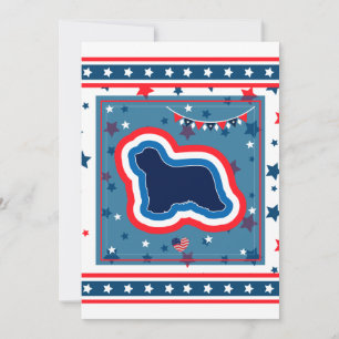 Baardcollie Patriottisch Rood Wit Blauw 4 juli Feestdagenkaart