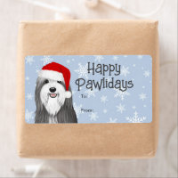 Baardcollie Sinterklaas Kerst Van Van Geschenk
