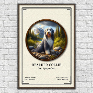 Baardcollie Zoölogie Serie Poster