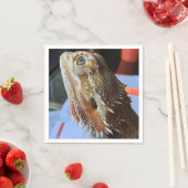 baarddrakenservet servet (Insitu)