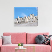 Baardrobben | Pygoscelis Antarctica Canvas Afdruk (Insitu (Woonkamer))