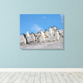 Baardrobben | Pygoscelis Antarctica Canvas Afdruk (Insitu (Houten vloer))